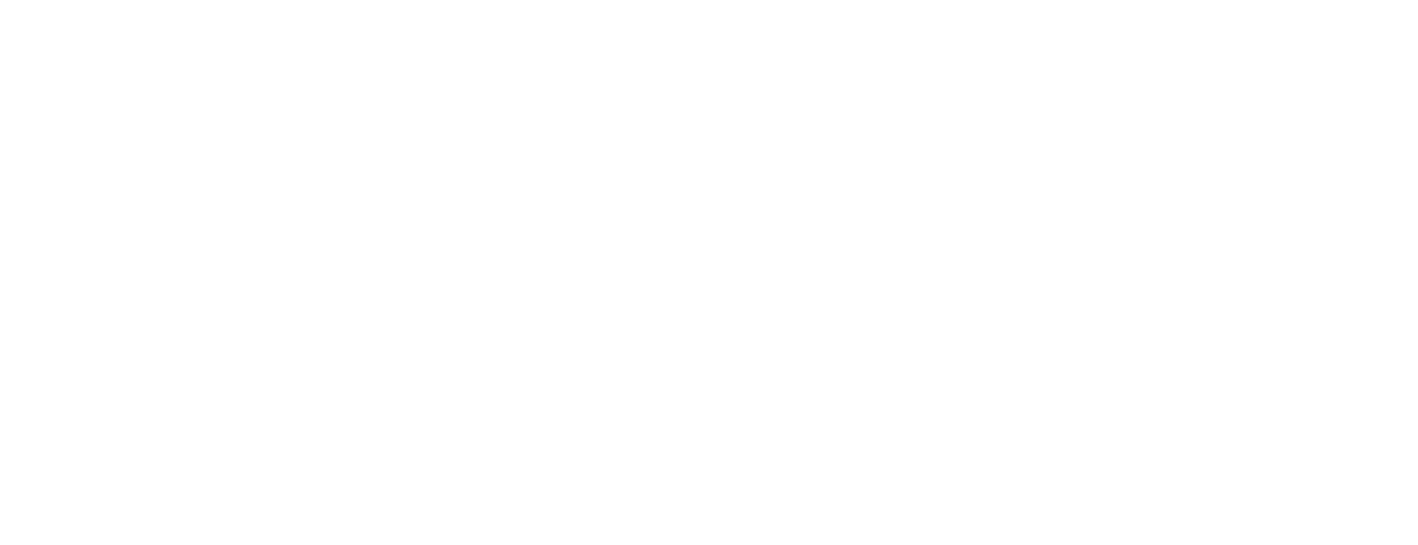 IBRA BOXING - Boxen in Frankfurt.